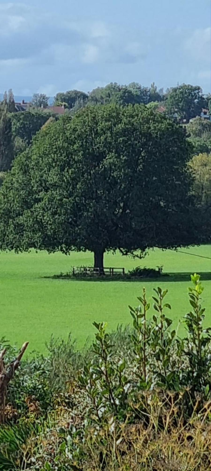 Ross-On-Wye Holiday Cottage 外观 照片